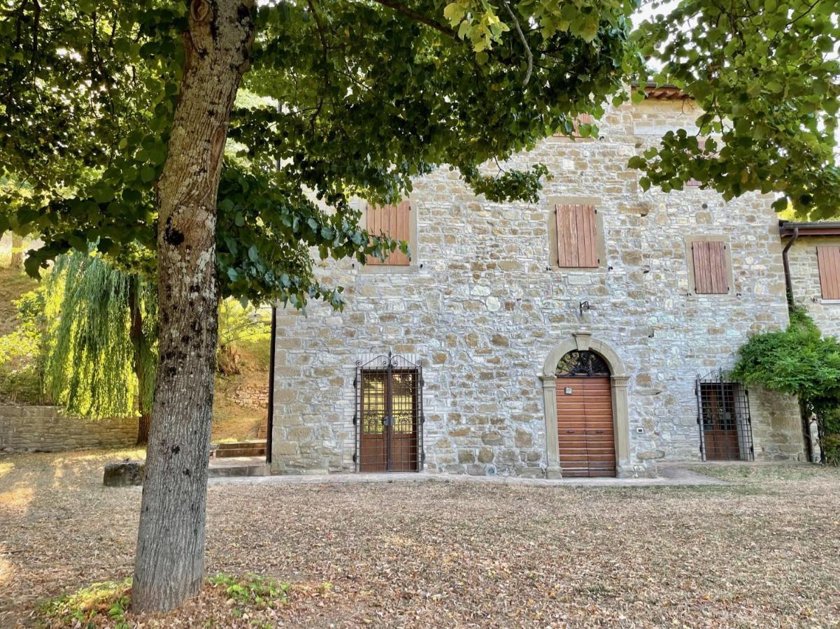 Sambuco Di Sopra Appartement Fratticciola Selvatica Buitenkant foto