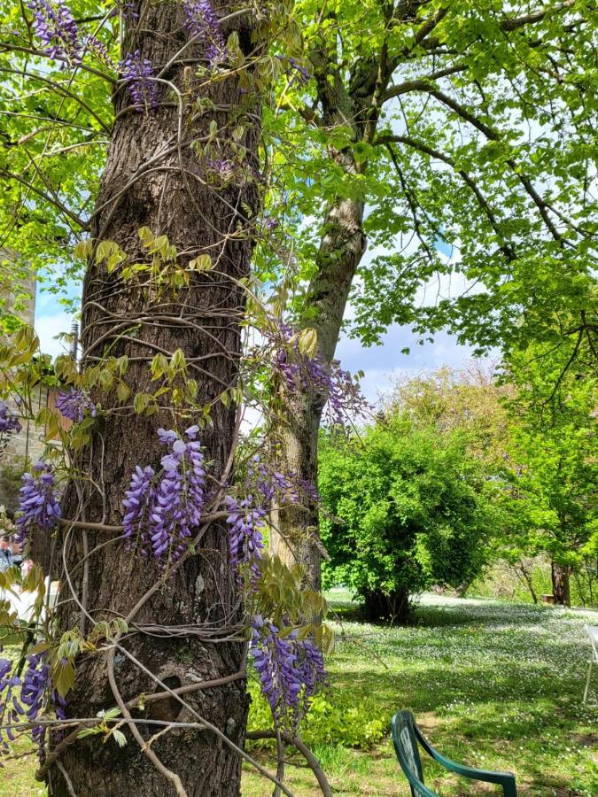 Sambuco Di Sopra Appartement Fratticciola Selvatica Buitenkant foto